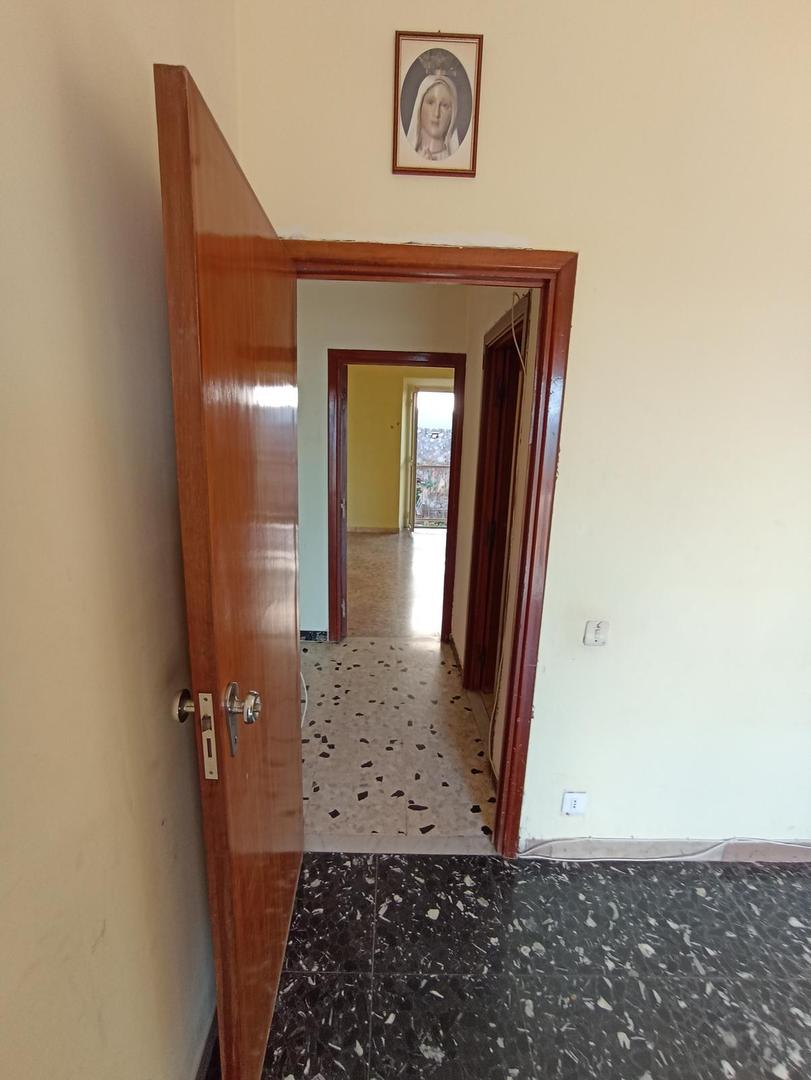  id.5129845