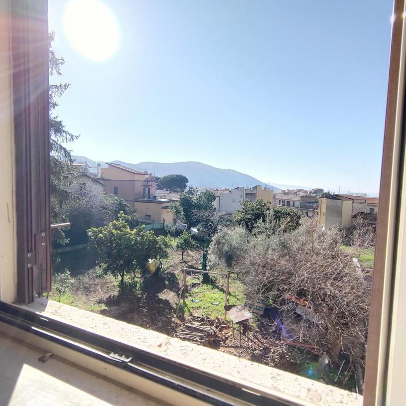  id.5109325