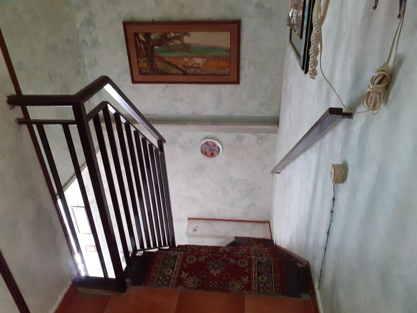  id.5117008