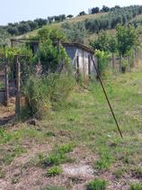 Casa con terreno in vendita a Monterotondo in Vendita