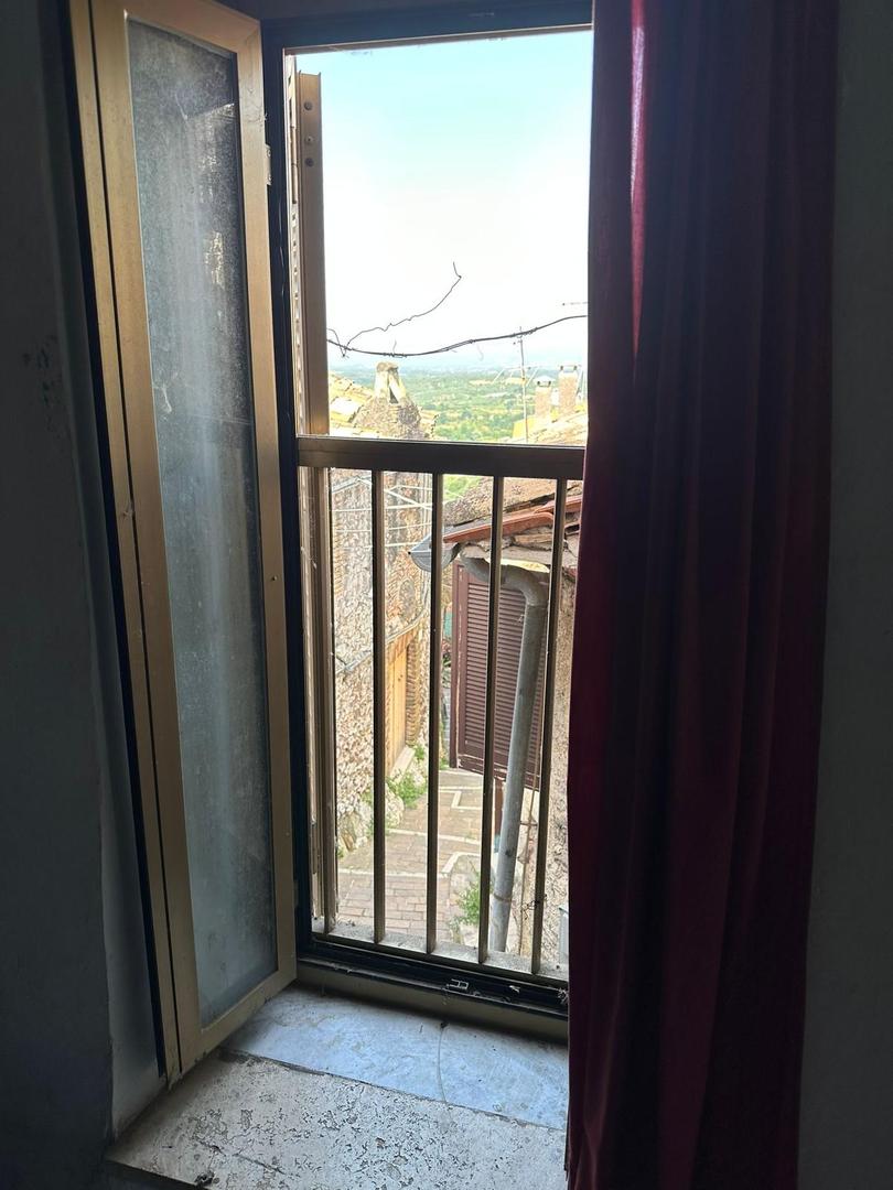  id.5133576