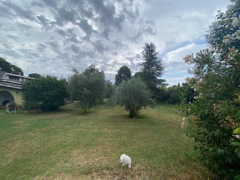  id.5134603