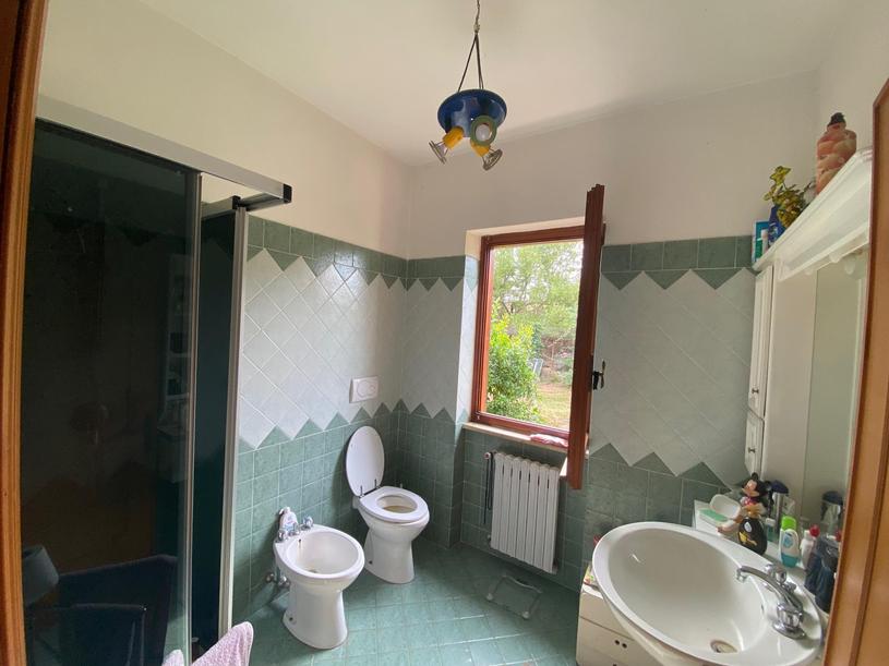  id.5134618