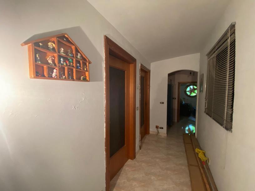  id.5134625