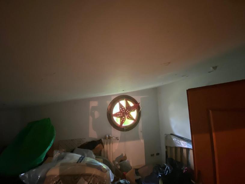  id.5134647
