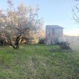 Terreno Pianeggiante in Vendita
