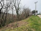 Terreno di 5.600 mq con pendenza naturale ideale per attività forestali e raccolta legna in Vendita