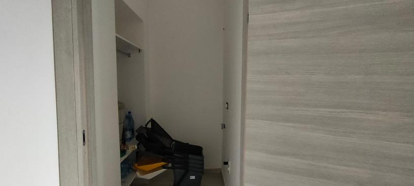  id.5252721