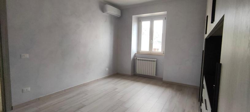 id.5252702