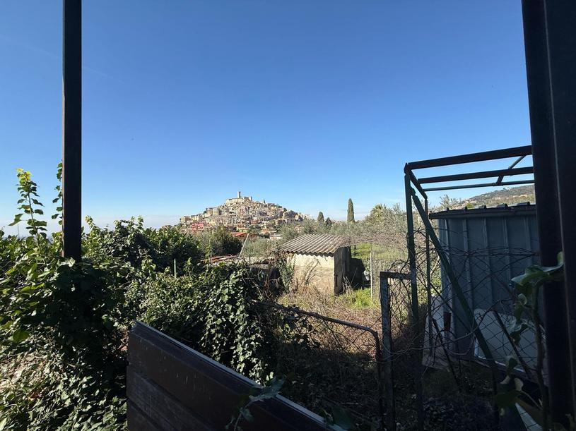  id.5253270
