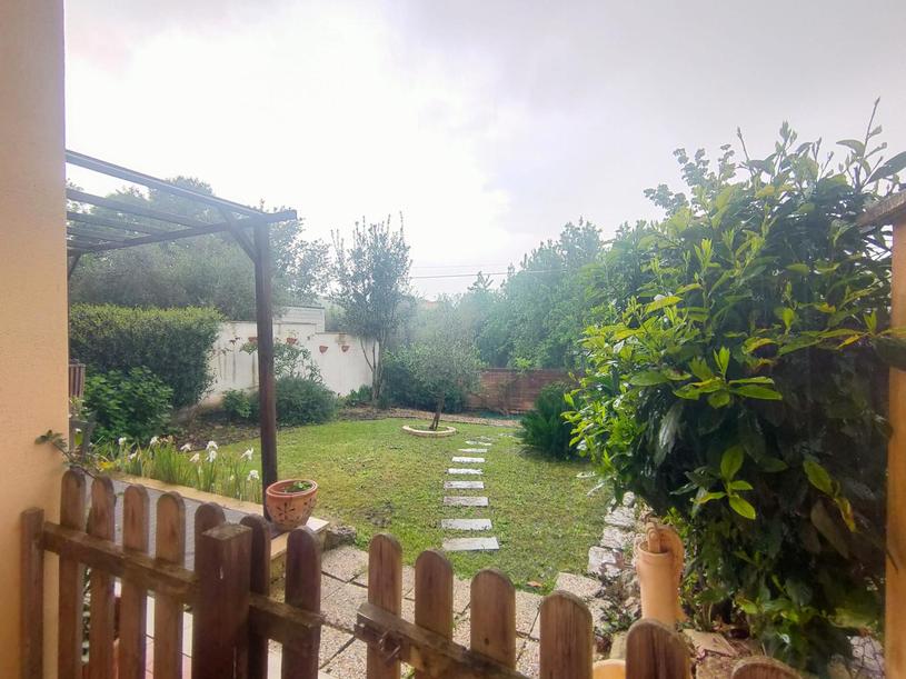  id.5261090
