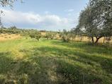 Terreno in zona centrale di Guidonia Montecelio in Vendita