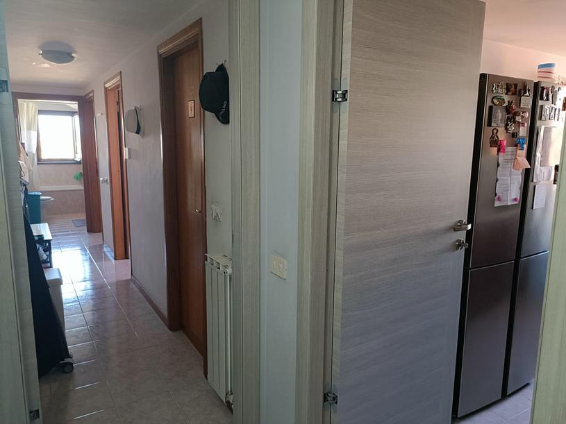  id.5273262