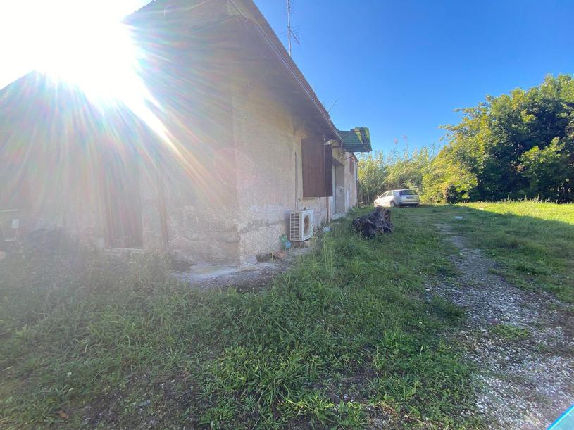  id.5276427