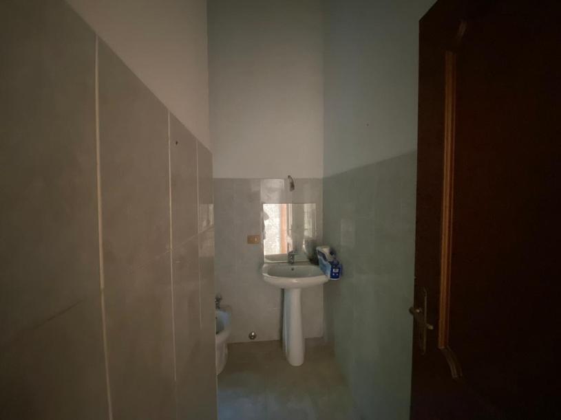  id.5276445