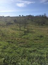 Terreno sulla via principale in Vendita