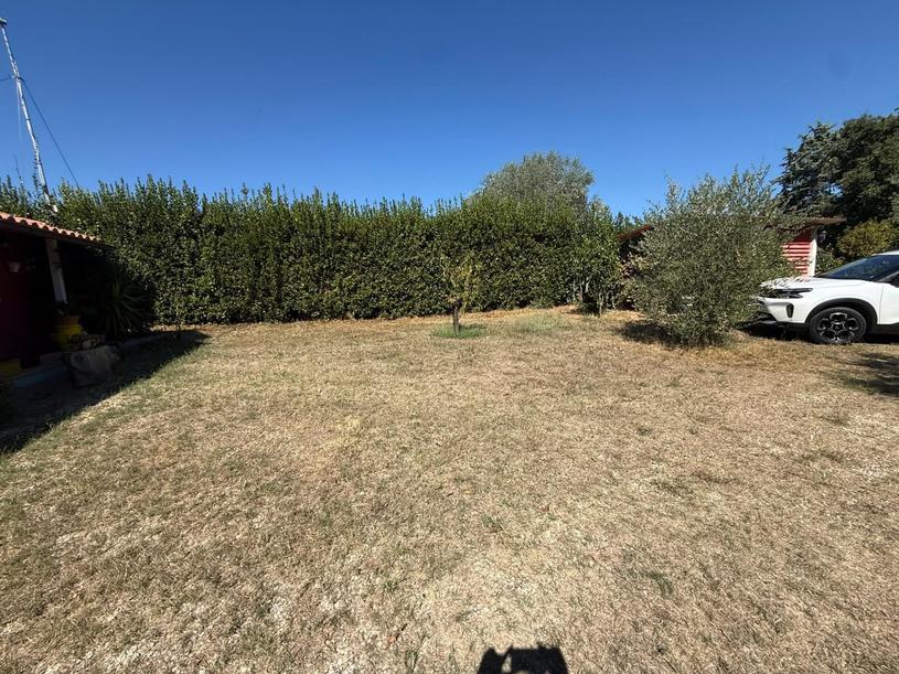  id.5309862