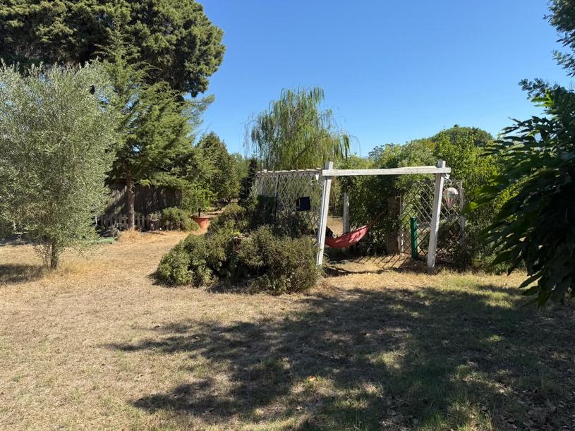  id.5309854