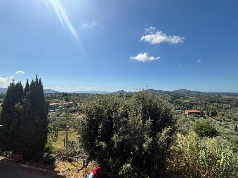  id.5310681
