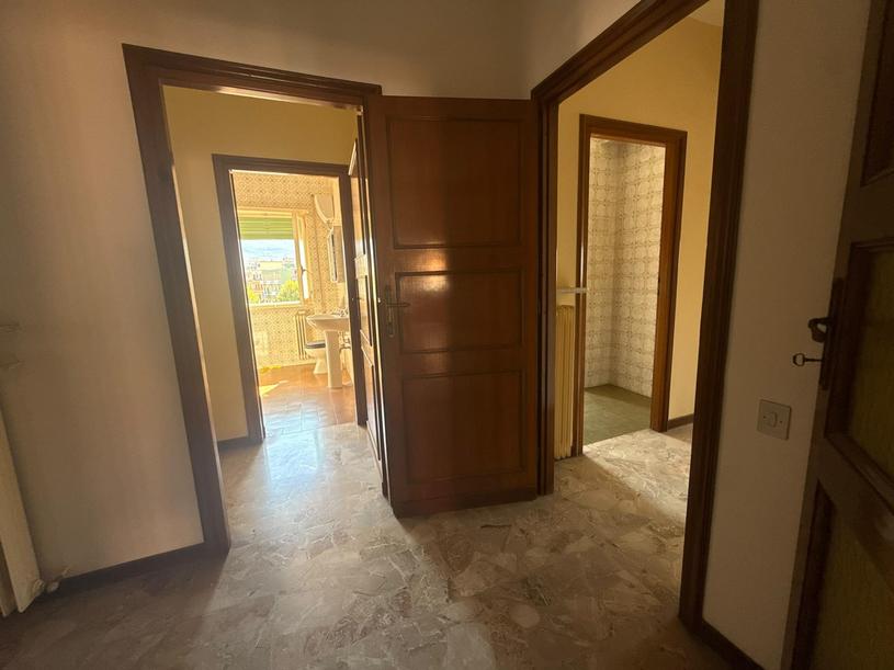  id.5312173